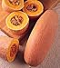 Jumbo Pink Banana Squash - 13 Seeds