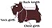 Petparty® Cute Bear Comfy Dog Pajams Dog Shirt Stripes Dog Jumpsuit Pet Dog Clothes (Pink, XL) Back 14