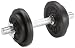Sports : Royalbeach Kurzhantelset Gusseisen 10 kg