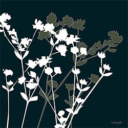 Eurographics KAA1109 Katerine Alex, Pure Shadow Flower II 30 x 30 cm, Hochwertiger Kunstdr Preisvergleich