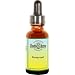 Health & Personal Care : Alternative Health & Herbs Remedies Pennyroyal, 1-Ounce Bottle (Pack of 2)