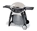 Weber 426001 Q 300 Propane Gas Barbecue