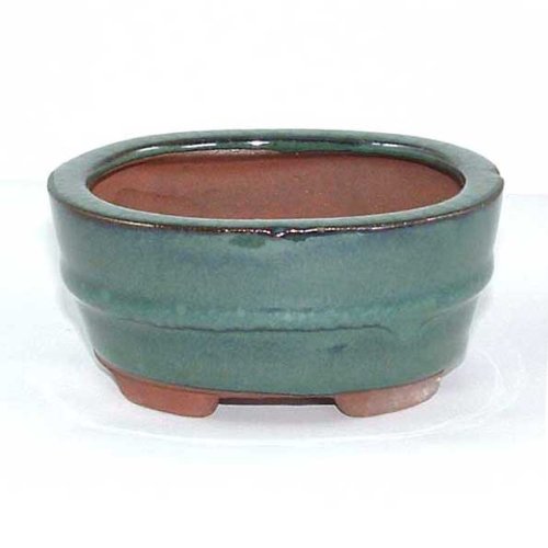 10.5cm Bonsai or Accent Pot - Green Oval