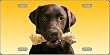 LP-2164 Chocolate Labrador Retriever Dog Pet Novelty License Plates- Full Color Photography License Plates