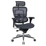 Ergohuman Mesh Chair w/ High Back (ME7ERG)