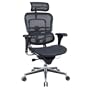 Ergohuman Executive Chair With Headrest - Black