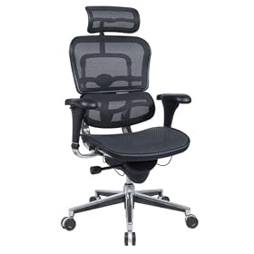 Ergohuman Executive Chair With Headrest