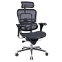 Ergohuman Executive Chair With Headrest
