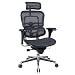 Office Products : Ergohuman Mesh Chair w/ High Back (ME7ERG)