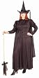Plus Size Classic Witch Costume - Womens XL