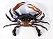 LX Hand Painted Crab Beach Tiki Bar Wall Mount Decor 6