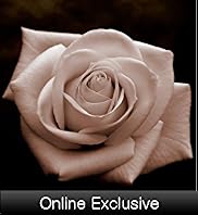 Vintage Rose Wall Art