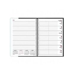 Brownline 2010 Pre-Vu Weekly Planner, Black, 11 x 8.5 Inches (CB925.BLK)