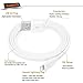 IFLASH [New Version, USB C Charging Cable ] USB C Charging/Data Cable, USB-C iPhone Fast Charging Cable Compatible with iPad 8th 2020, iPhone 12/11/11 Pro/11 Pro Max/X/XS/XR/8 (Black, 3 Feet)