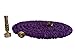 GreenBest Expandable Garden Hose, Purple, 50 Feet, 5/8 Diameter, Brass Sprayer and Couplings（ Purple）