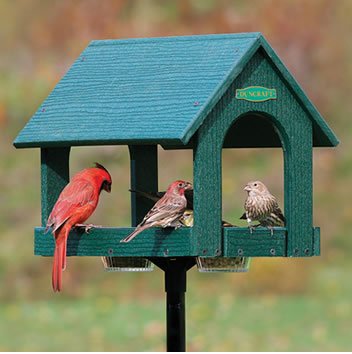 Duncraft Eco Fly Thru Hopper Feeder