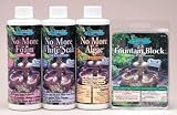 Jungle Pond Fountain Block 2 pk-JUNFB102