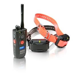 Click here to buy Dogtra Super X 2 Dog Training Collar.