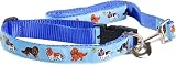 Cavalier King Charles Spaniel Blue Colla