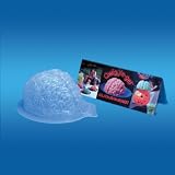 Brain Gel Mold