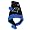 Carolina Panthers