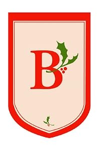 Monogram Holiday Garden Size Flag - B