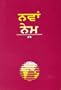 Punjabi New Testament: Easy-To-Read Version (Punjabi Edition)