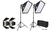 PBL Double MXLight-twin Continuous Halogen Kit, total 2000 w/s (Bulbs Incl.)