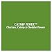 Temptations MixUps Catnip Fever Flavor Crunchy and Soft Cat Treats, 6.3 oz. Pouch (Pack of 10)