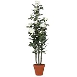 f-DECO ���[�Y�z���C�g 110cm