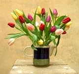 Send Fresh Cut Flowers - 30 Assorted Tulips