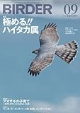 BIRDER 2013年 9月号 [雑誌]
