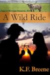 A Wild Ride (Jessica Brodie Diaries)