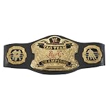 WWE - RAW World tag team championship