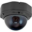 Simulated Security Camera Simulated Dome Camera