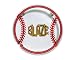 Bakersfield Blaze Neon Baseball