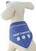 Happy Chanukah Scarf Bandanna - SMALL - by I SEE SPOT