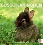 Süße Kaninchen 2011. Postkartenkalender