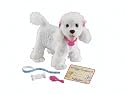 Puppy Grows And Knows Your Name Poodle