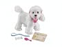 Puppy Grows And Knows Your Name Poodle
