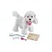Puppy Grows And Knows Your Name Poodle