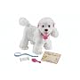 Puppy Grows And Knows Your Name Poodle