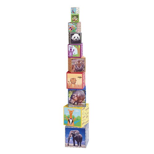Baby Einstein Discover and Play Stackers