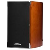 Polk Audio RTiA1 5.25