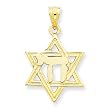 14k Solid Polish Chai in Star of David Charm