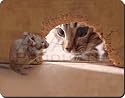 CAT on MOUSE WATCH GIFTS Mouse Mat