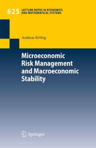 Microeconomic Risk Management and Macroeconomic Stability: 625 (Lecture Notes in Economics and Mathematical Systems)