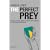 The Perfect Prey: The Fall of ABN Amro, or: What Went Wrong in the Banking Industry?