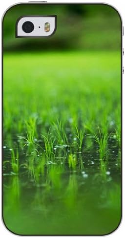 OUO Snap on Hard Protective Case Cover Iphone 5 5s with Unique Design of Clear Green Grass