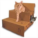Step 'N Play Pet Steps